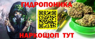 Альфа ПВП Аргун