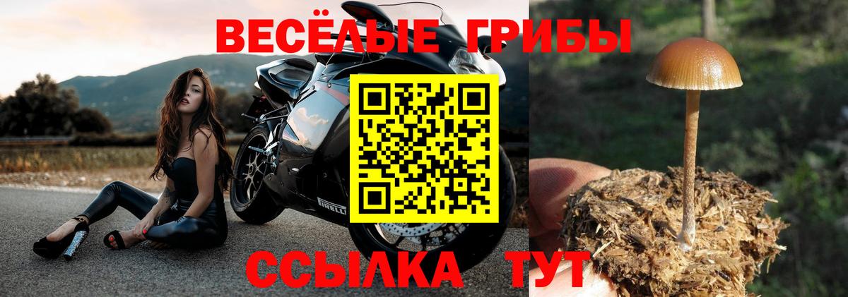 Псилоцибиновые грибы прущие грибы  Псилоцибиновые грибы мухоморы  Артёмовский 